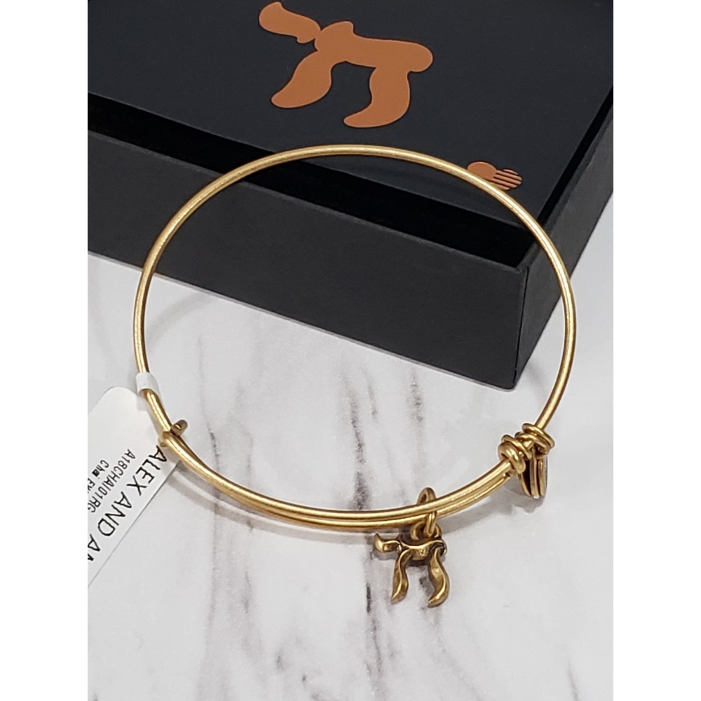 NEW ROSE GOLD Alex and Ani Chai  Expandable Charm Bangle BRACELET
